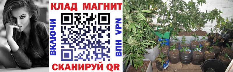 Что такое Печоры A PVP  Мефедрон  Псилоцибиновые грибы  Марихуана  Кокаин  ГАШИШ 
