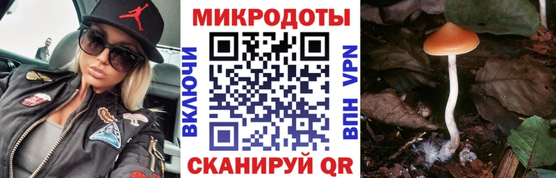 Псилоцибиновые грибы Cubensis  Печоры 